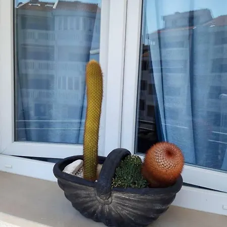 Homestay szállás Amor